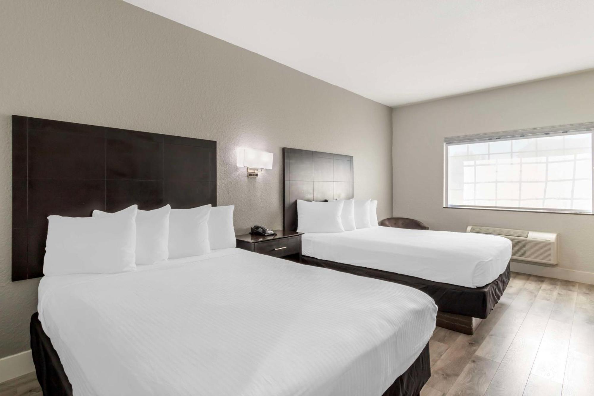 Surestay Plus By Best Western Texas City I-45 Eksteriør billede